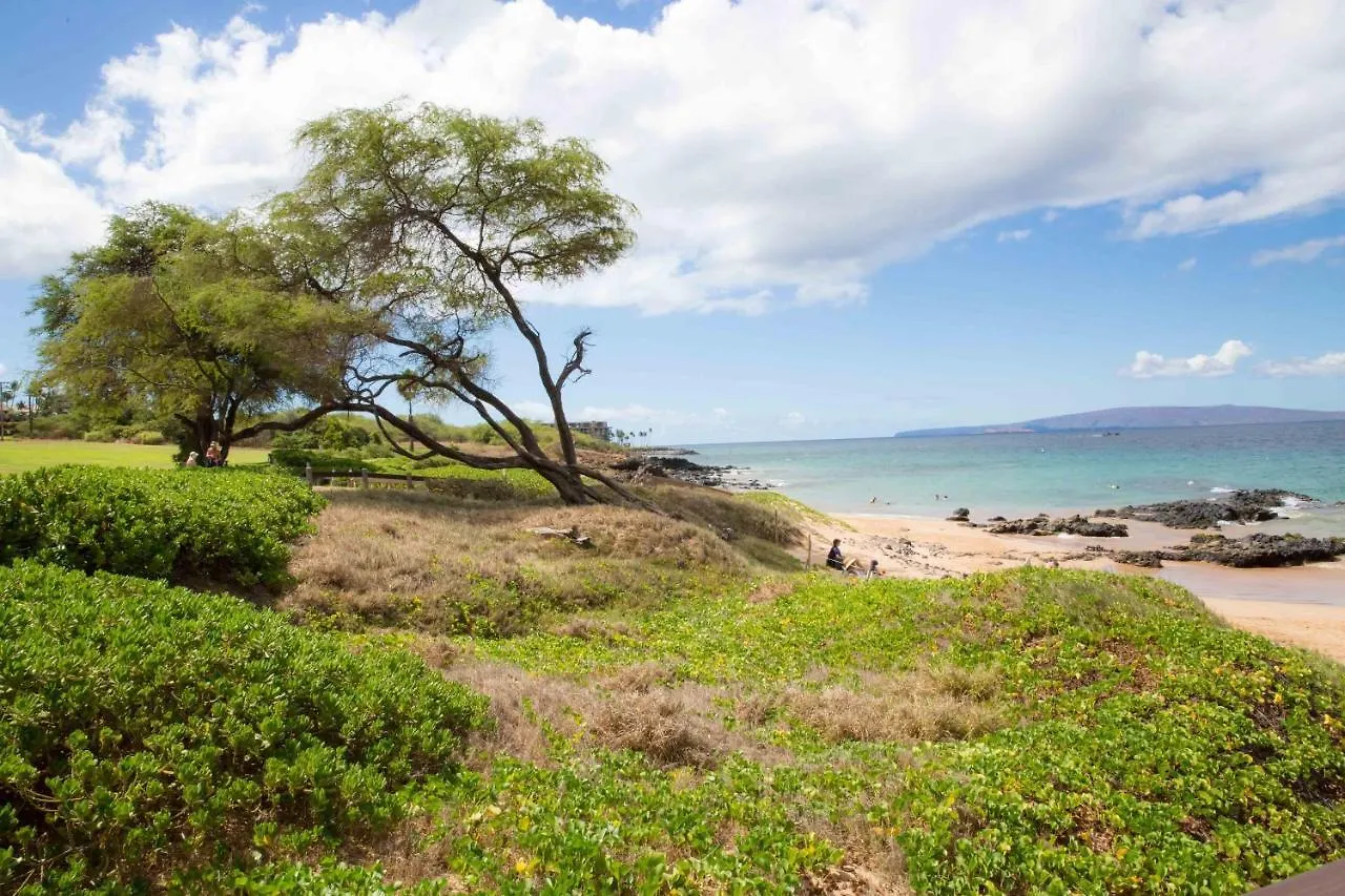 Hale Kamaole 308 Villa Wailea